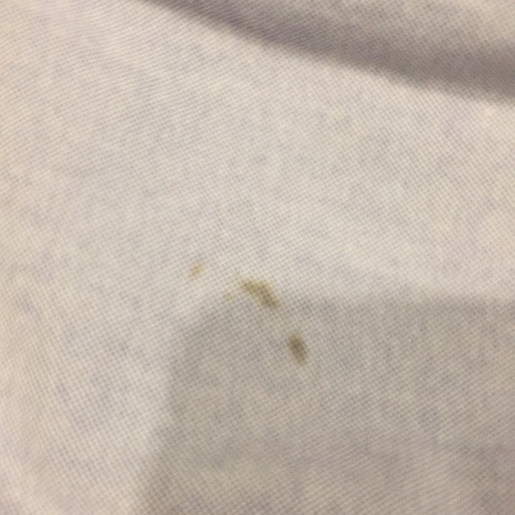 Light Blue Polo Button Down - Picture 7 of 7